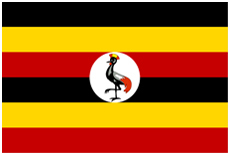 The Ugandan flag